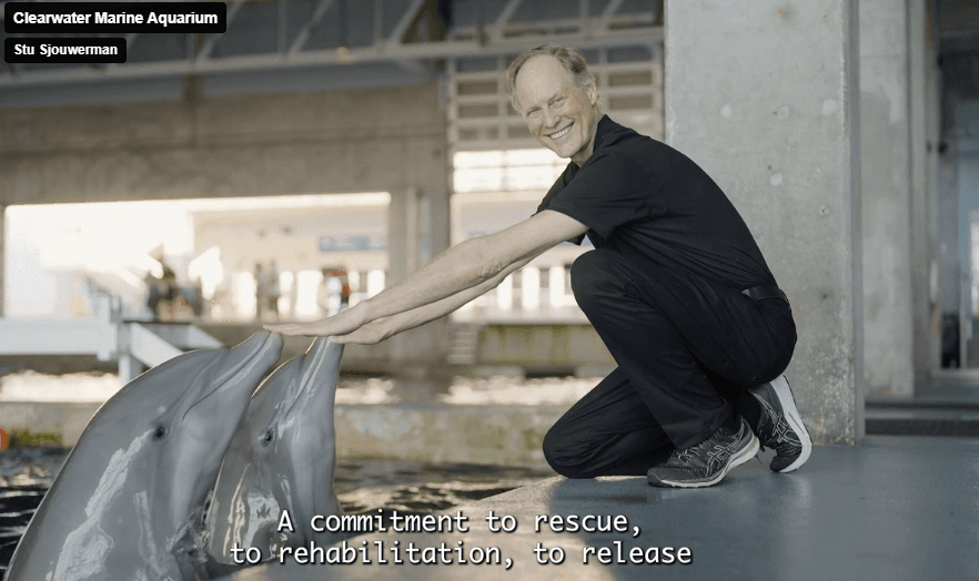 ReadingMinds Supports Clearwater Marine Aquarium: Rescue, Rehab, Return